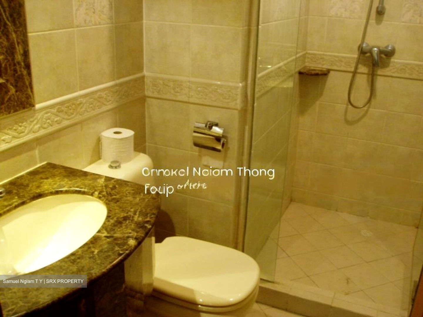 Signature Park (D21), Condominium #521443871
